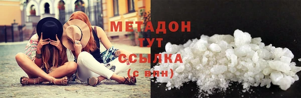 шишки Арсеньев
