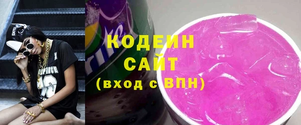 шишки Арсеньев