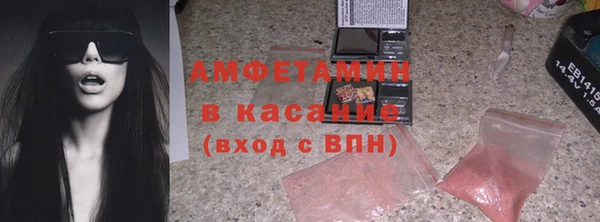 шишки Арсеньев