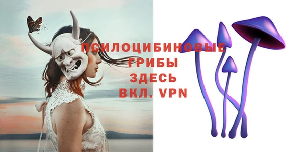 шишки Арсеньев