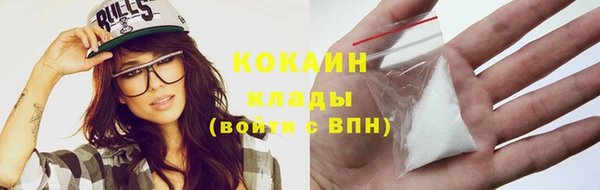 шишки Арсеньев