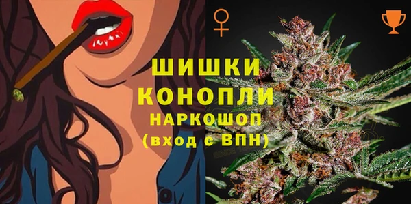 шишки Арсеньев