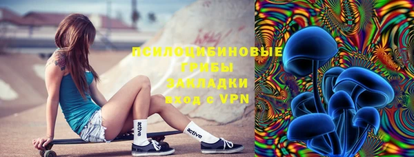 мяу мяу мука Аркадак