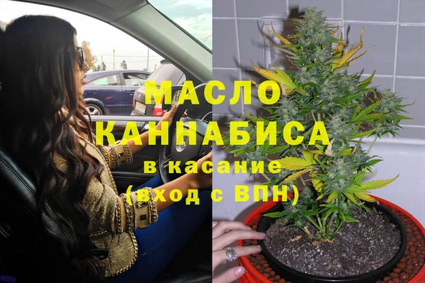 шишки Арсеньев