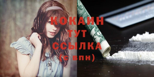 шишки Арсеньев