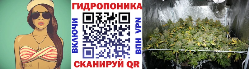 цена наркотик  Почеп  Каннабис тримм 
